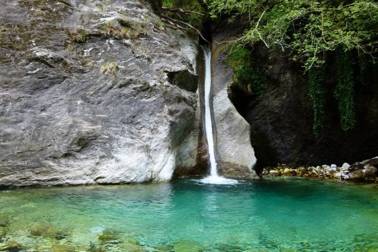 Pozze Malbacco nella natura dell'Alta Versilia - immagine 218