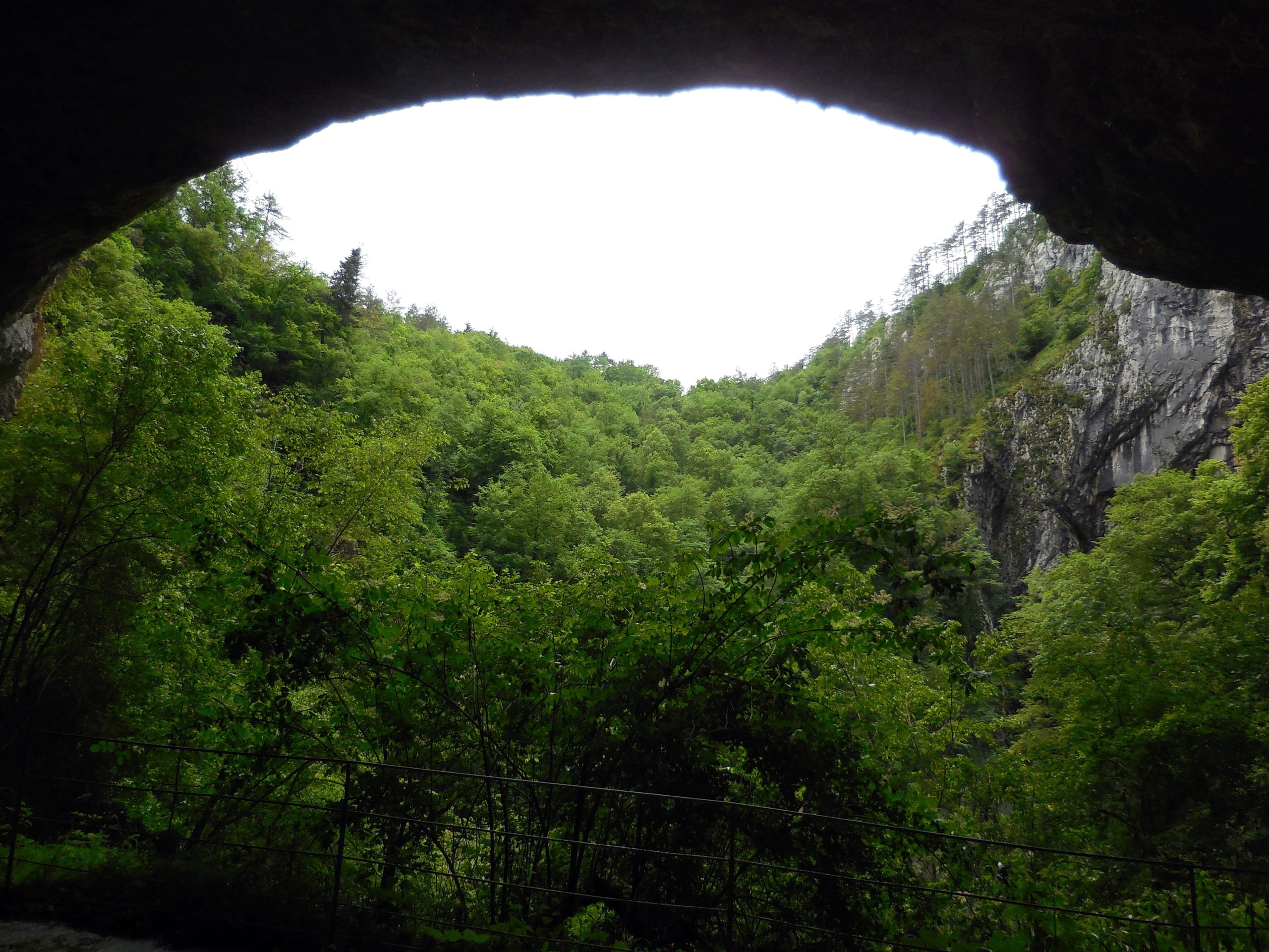 Il misterioso fiume Timavo (o Reka) e le grotte di Skocjan - immagine 134