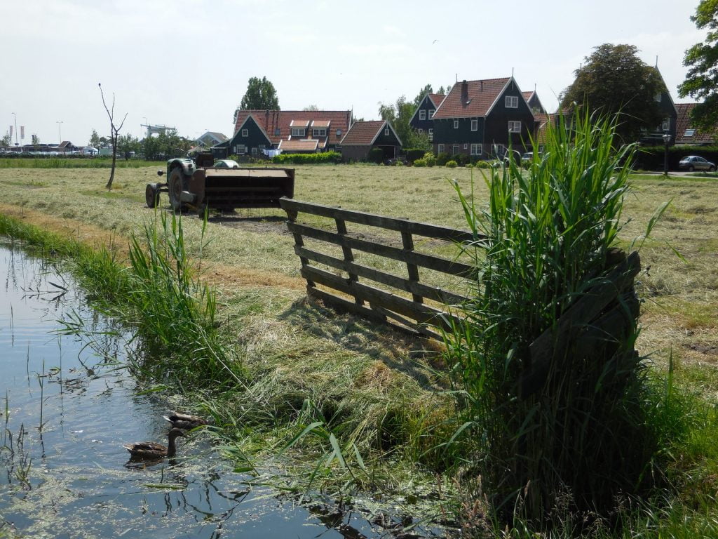 I villaggi del Lago Ijsselmeer...in auto - immagine 141