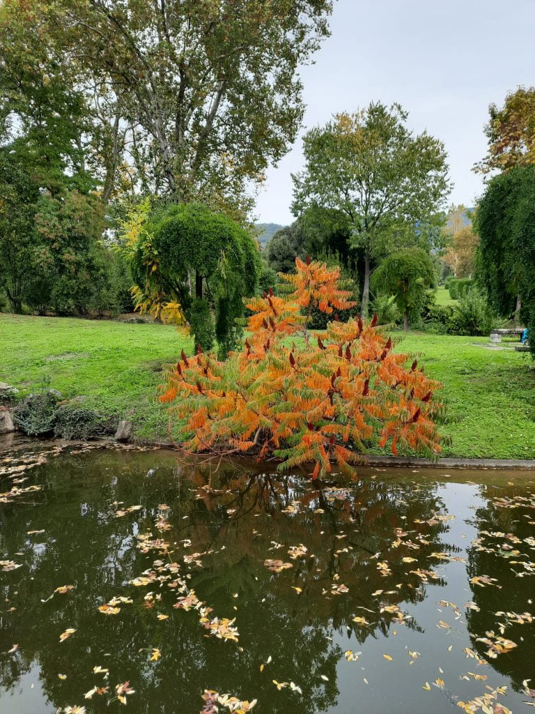 La Villa Reale di Marlia, residenza reale e giardini splendidi vicino Lucca - immagine 22