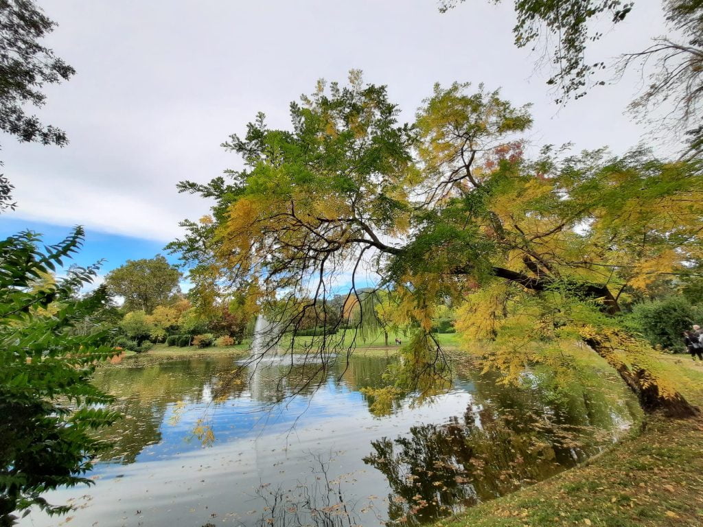 La Villa Reale di Marlia, residenza reale e giardini splendidi vicino Lucca - immagine 16