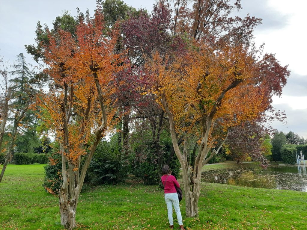 La Villa Reale di Marlia, residenza reale e giardini splendidi vicino Lucca - immagine 18