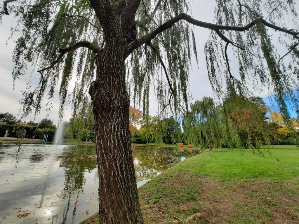 La Villa Reale di Marlia, residenza reale e giardini splendidi vicino Lucca - immagine 3