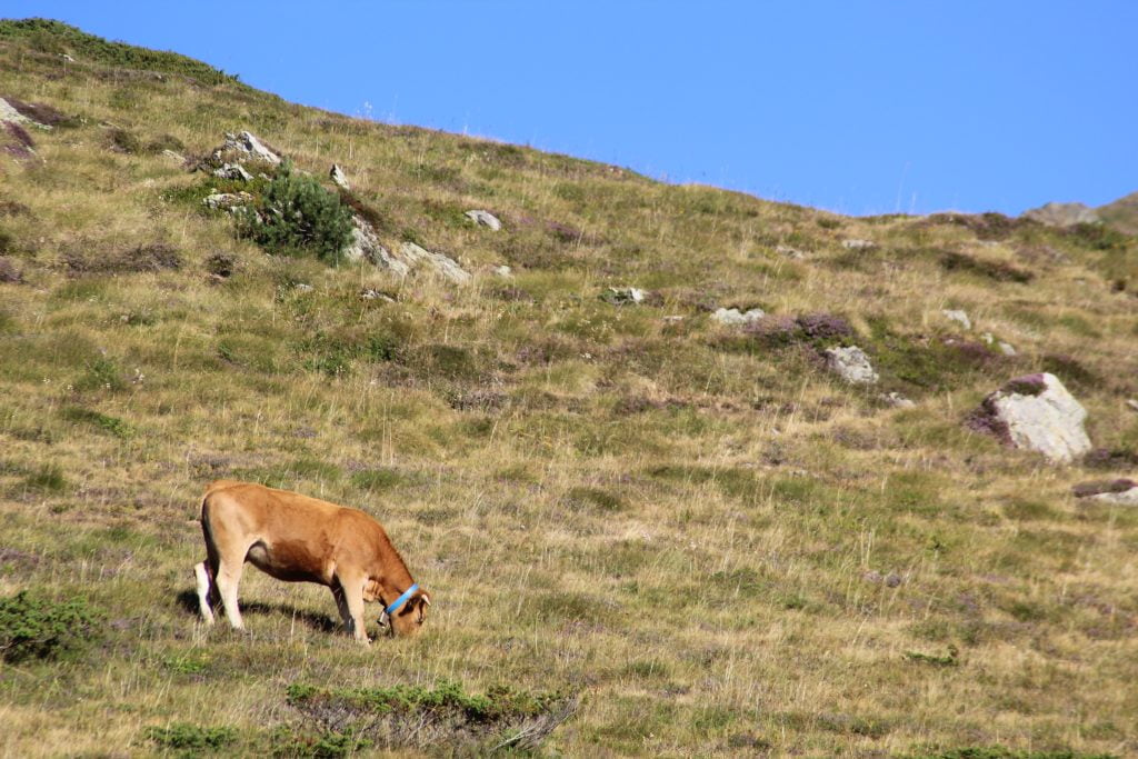 Andorra La Vella, 1 giorno sui Pirenei nella capitale più alta d'Europa - immagine 11