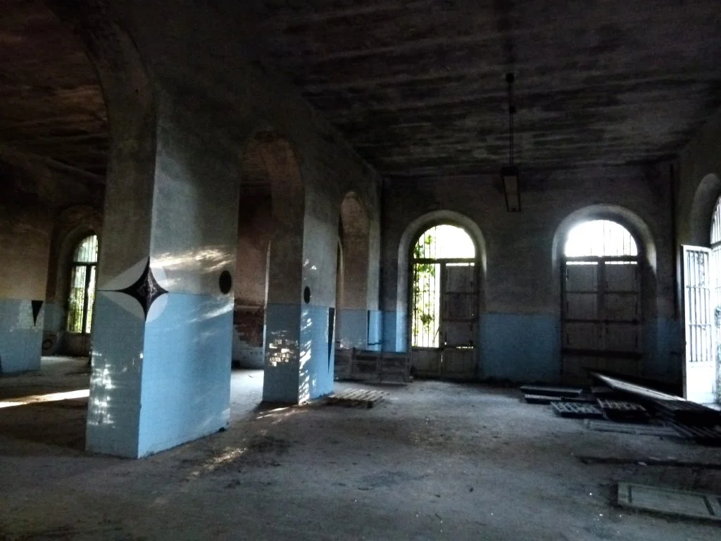 Il manicomio di Volterra, tra edifici abbandonati e arte brut - immagine 19