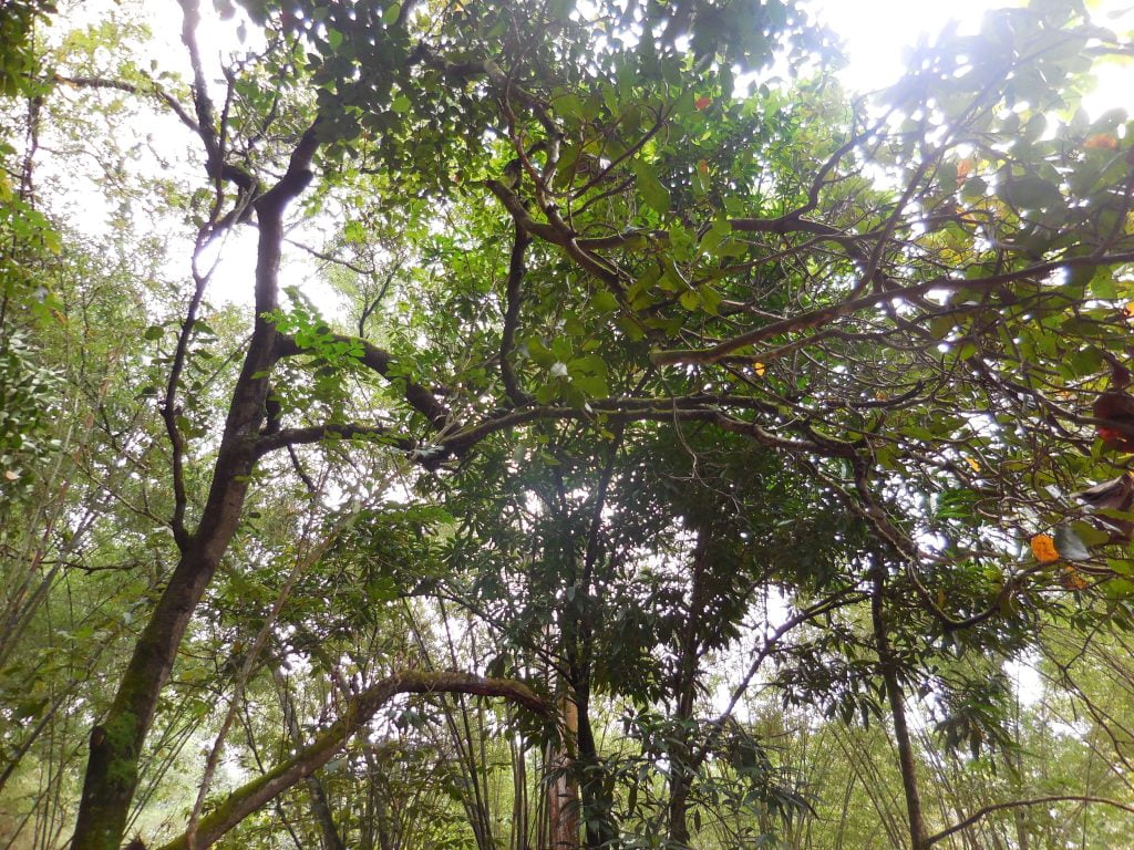 Cu Chi, lungo i tunnel dei Viet Cong - immagine 3