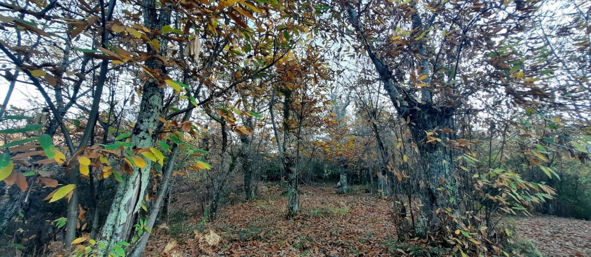 Lunigiana e Garfagnana, 1 giorno tra borghi e natura - immagine 220