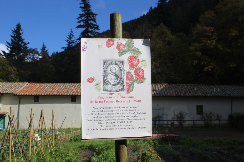 Abbazia di Vallombrosa, 1 giorno in cerca del foliage - immagine 4