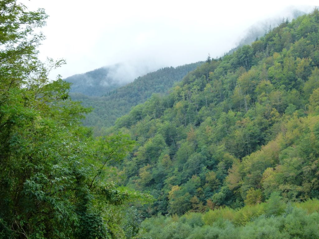 Orsigna, seguendo Terzani sull'Appennino pistoiese - immagine 4