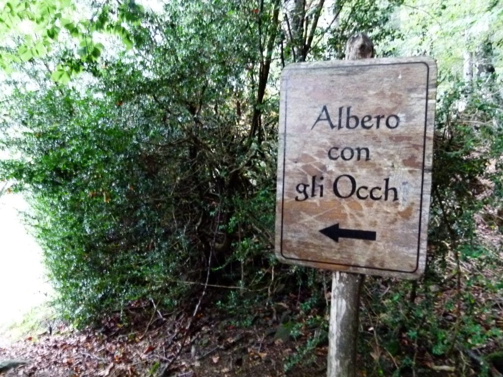 Orsigna e il sentiero di Tiziano Terzani - immagine 150