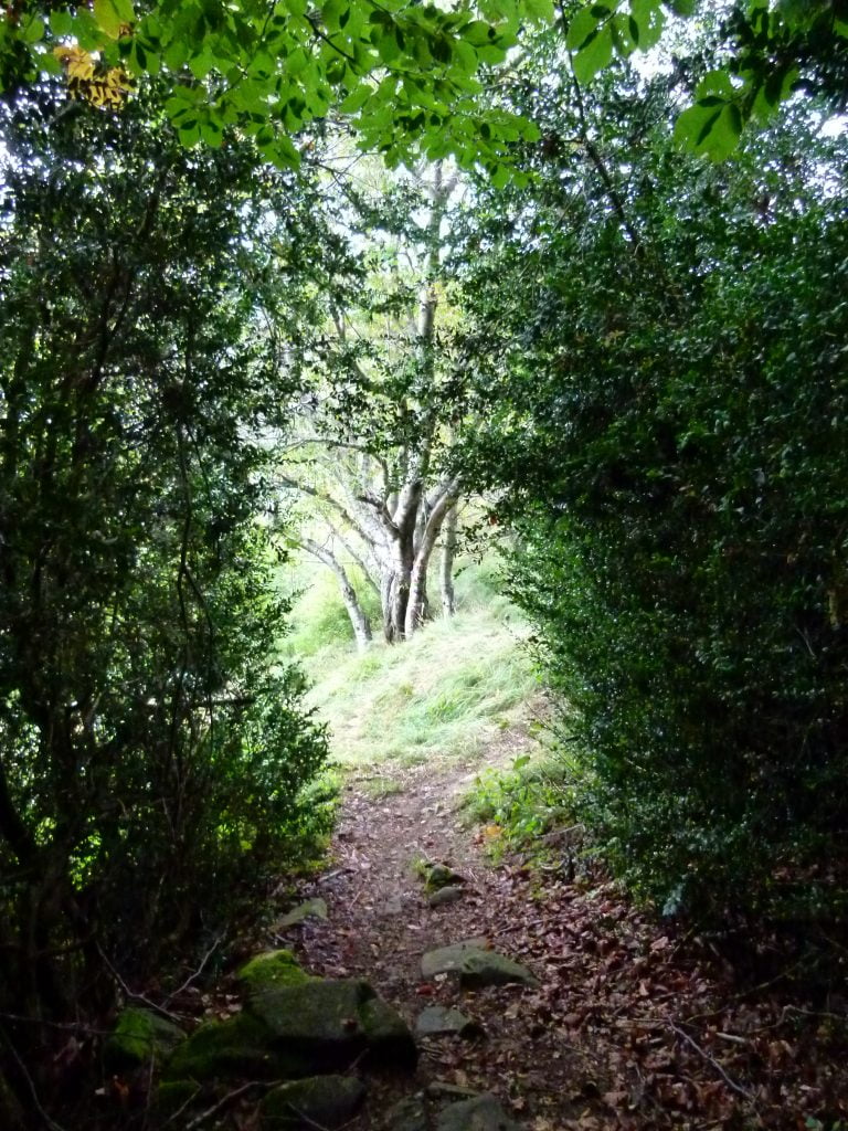 Orsigna, seguendo Terzani sull'Appennino pistoiese - immagine 19