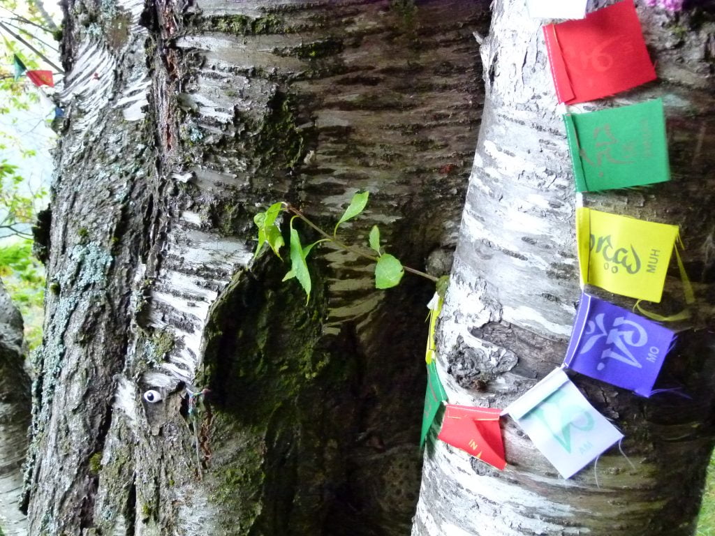 Orsigna, seguendo Terzani sull'Appennino pistoiese - immagine 21