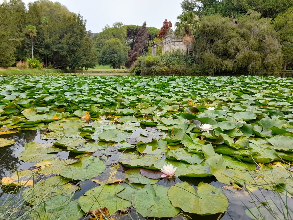 Reggia di Caserta, l'incanto del palazzo e dei giardini - immagine 35