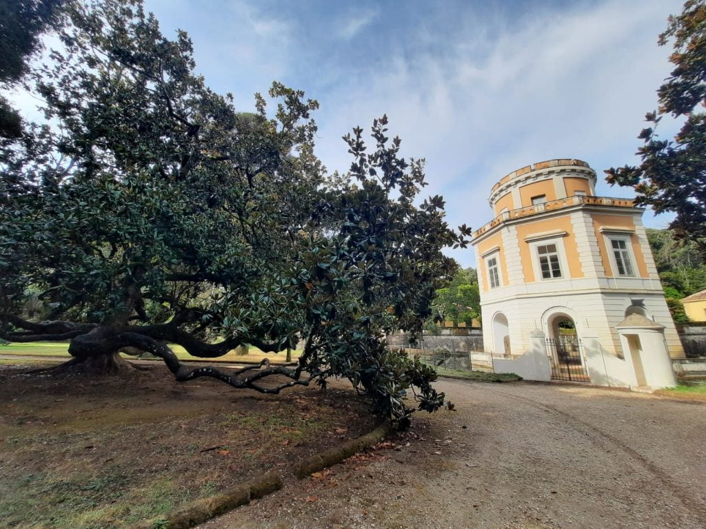 Reggia di Caserta, l'incanto del palazzo e dei giardini - immagine 30