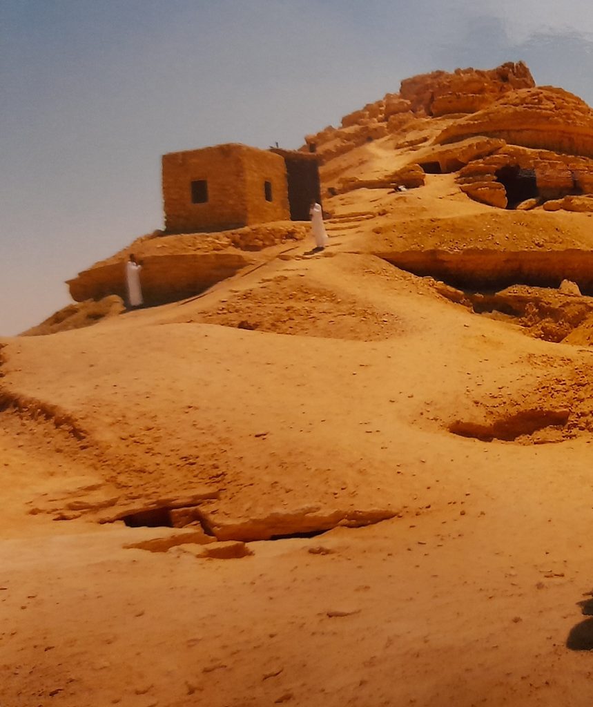 L'oasi di Siwa, 2 giorni nel deserto egiziano - immagine 12