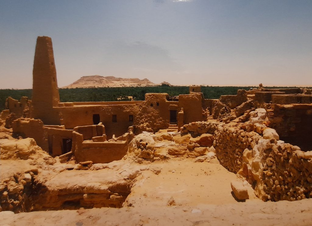 L'oasi di Siwa, 2 giorni nel deserto egiziano - immagine 10