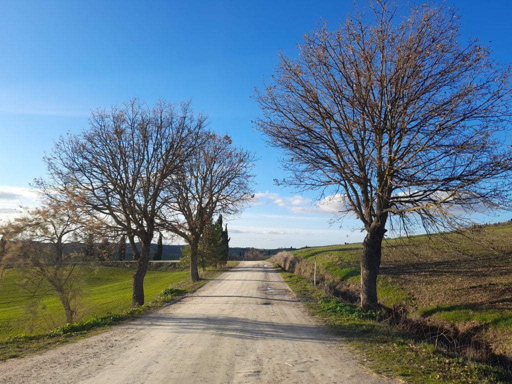 Pienza, borgo gioiello della Val d'Orcia - immagine 4