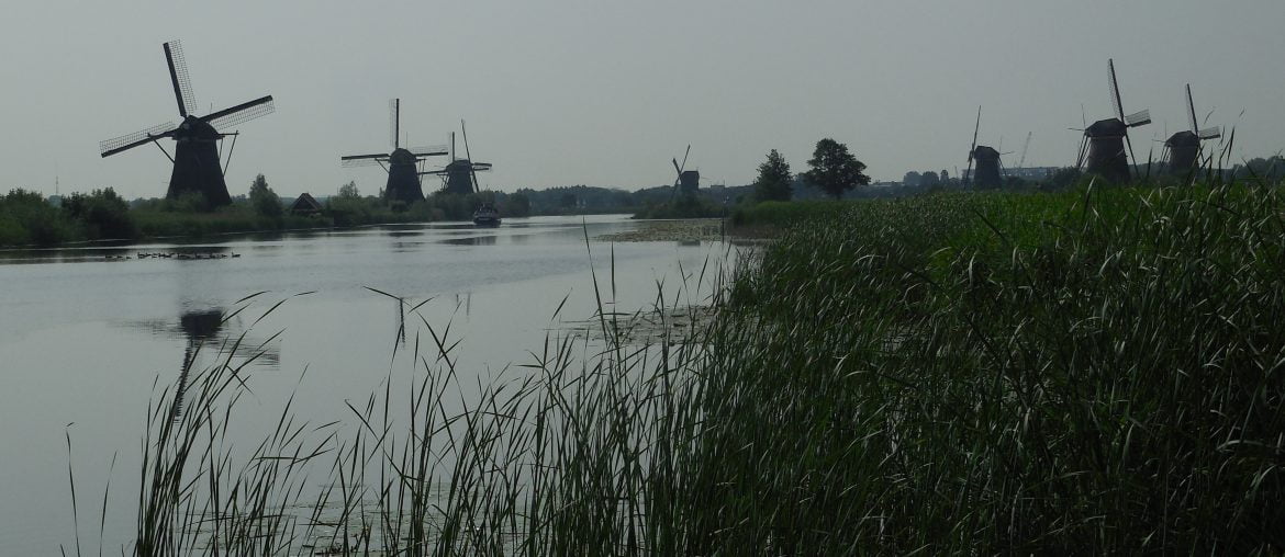 Mulini di Kinderdijk, in bici nella campagna olandese - immagine 220