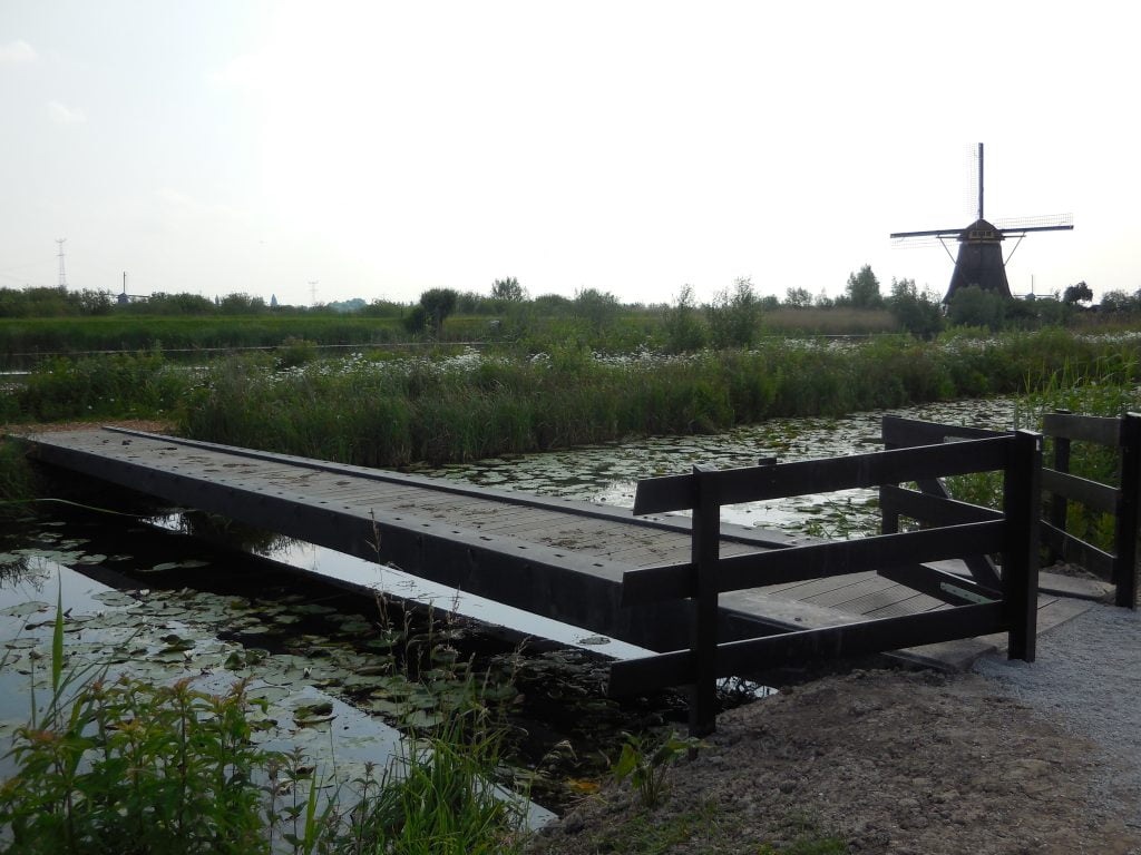 Mulini di Kinderdijk, in bici nella campagna olandese - immagine 3