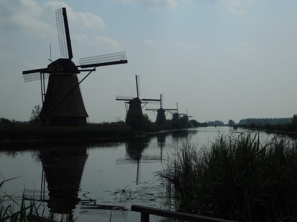 Mulini di Kinderdijk, in bici nella campagna olandese - immagine 4