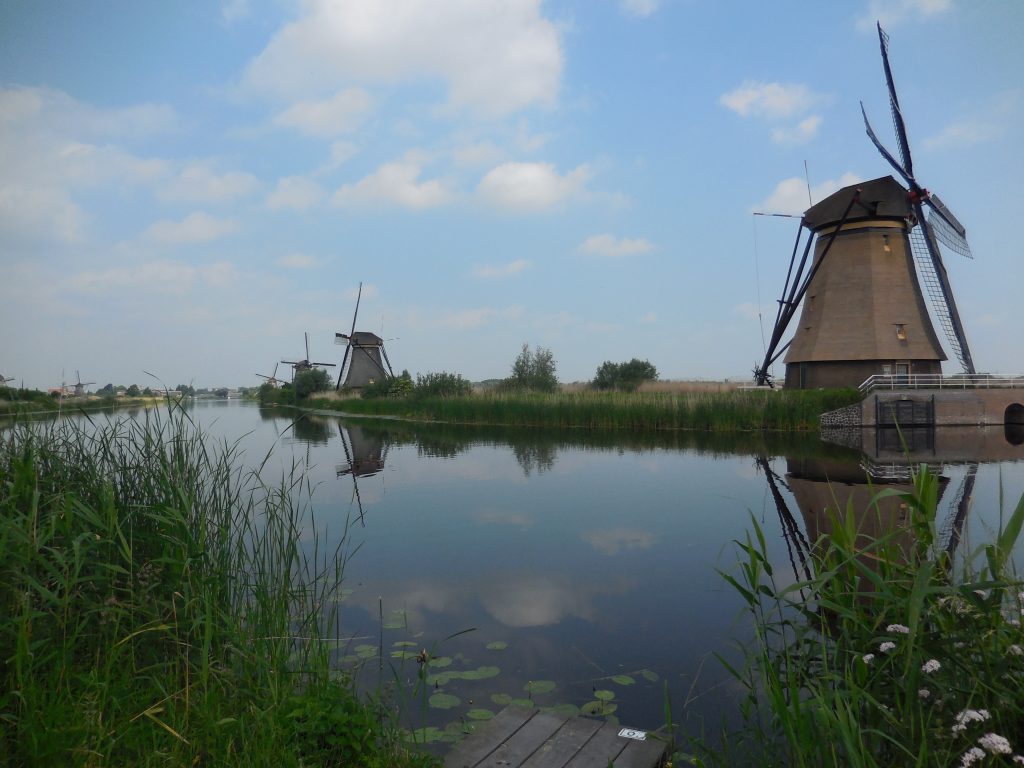 Mulini di Kinderdijk, in bici nella campagna olandese - immagine 5