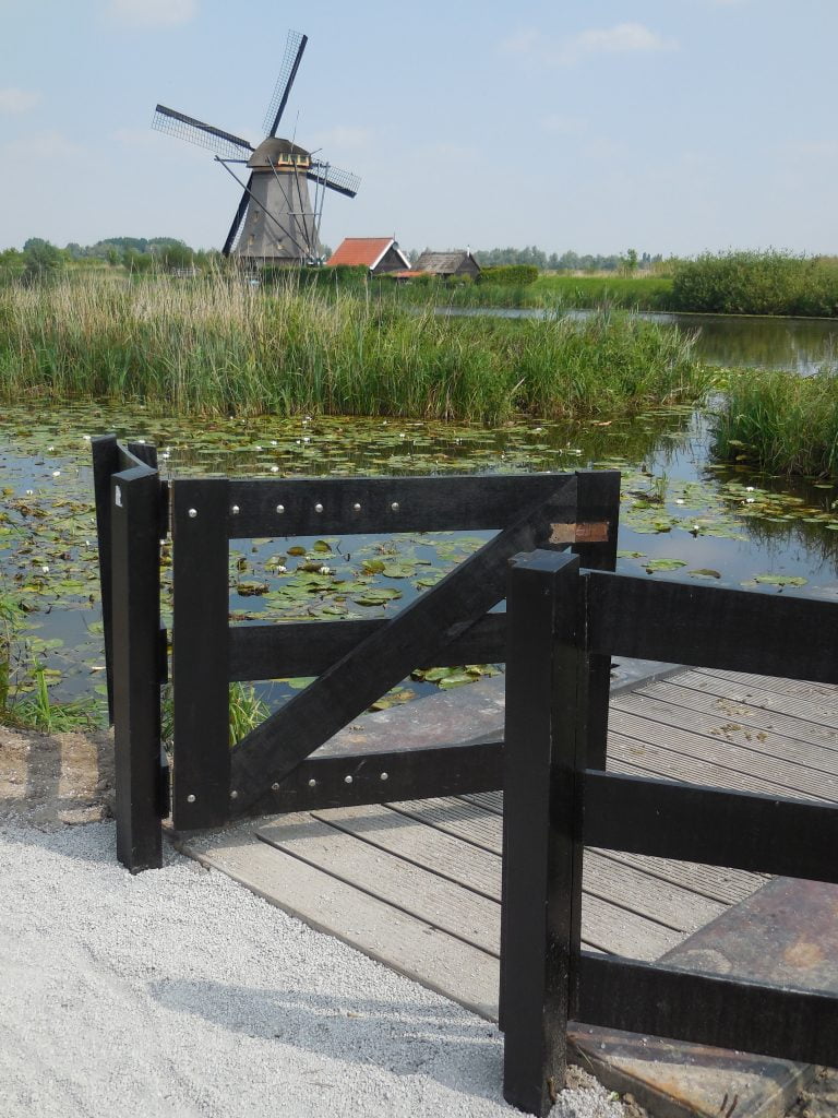 Mulini di Kinderdijk, in bici nella campagna olandese - immagine 6
