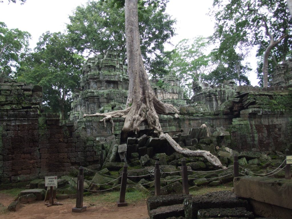 Ta Prohm, tempio nella giungla cambogiana - immagine 4