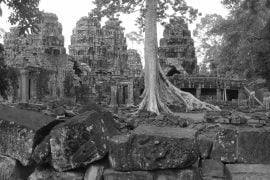 Ta Prohm, tempio nella giungla cambogiana - immagine 1