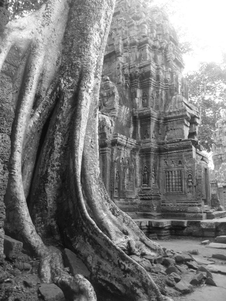 Ta Prohm, tempio nella giungla cambogiana - immagine 7