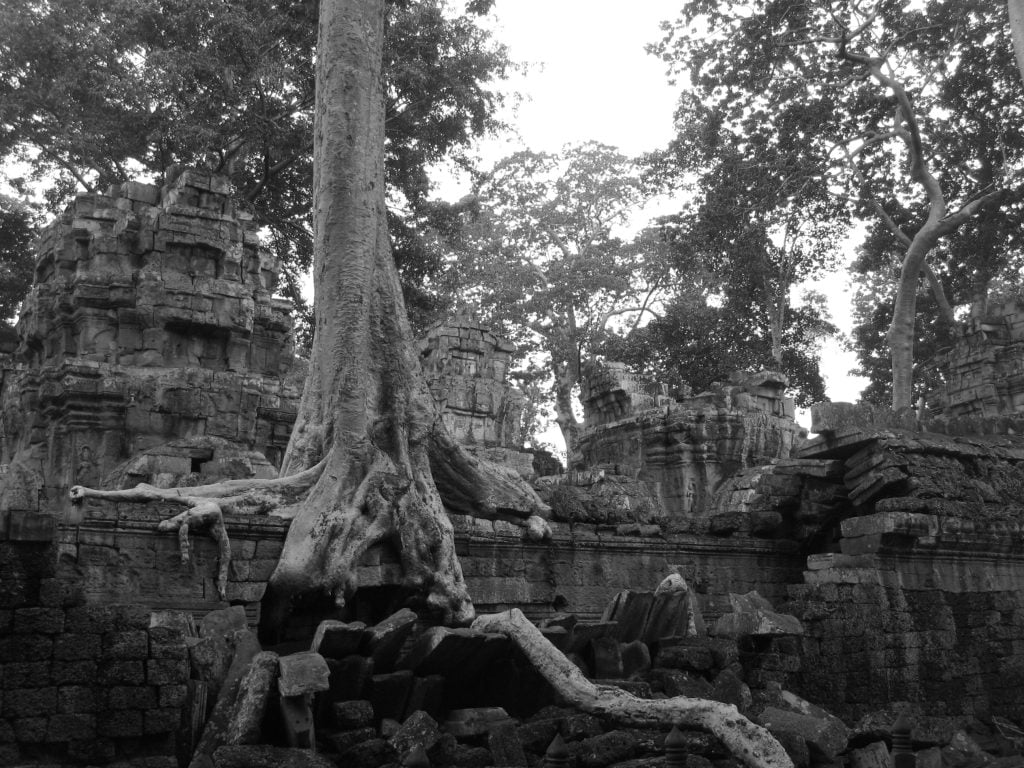 Ta Prohm, tempio nella giungla cambogiana - immagine 5