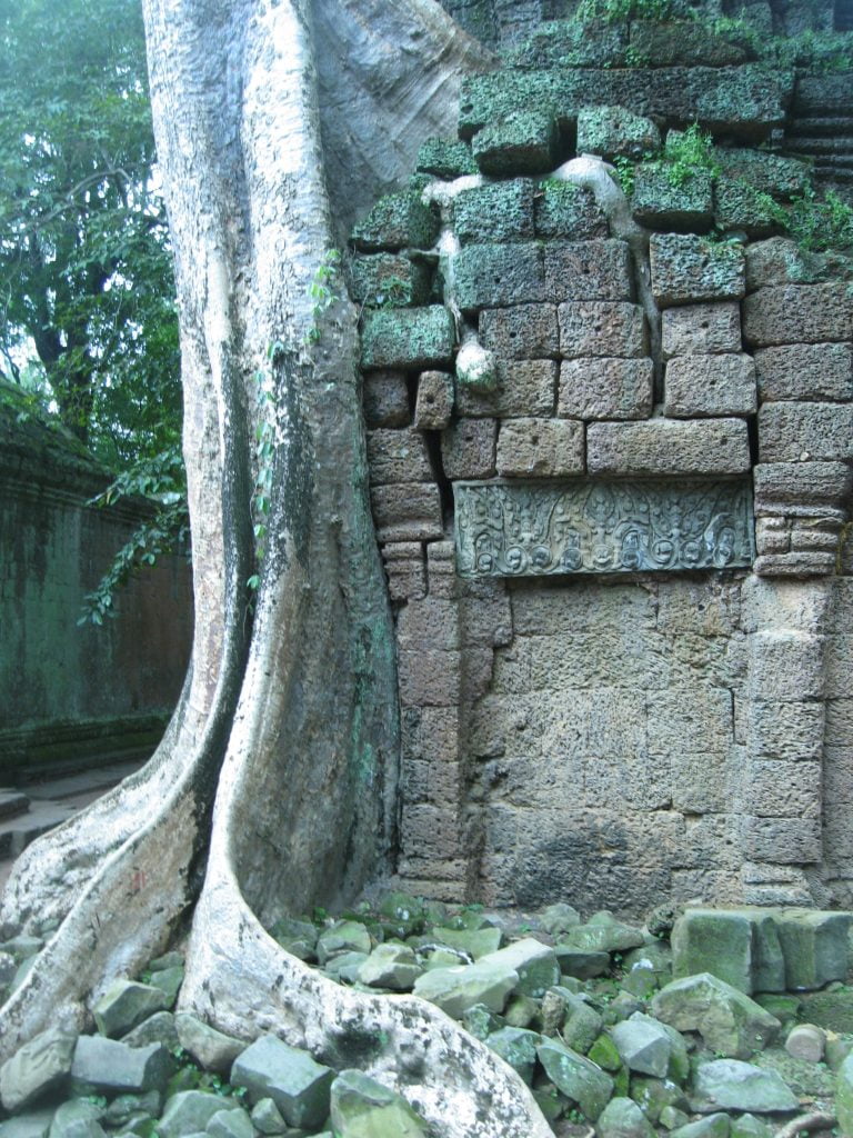 Ta Prohm, tempio nella giungla cambogiana - immagine 8