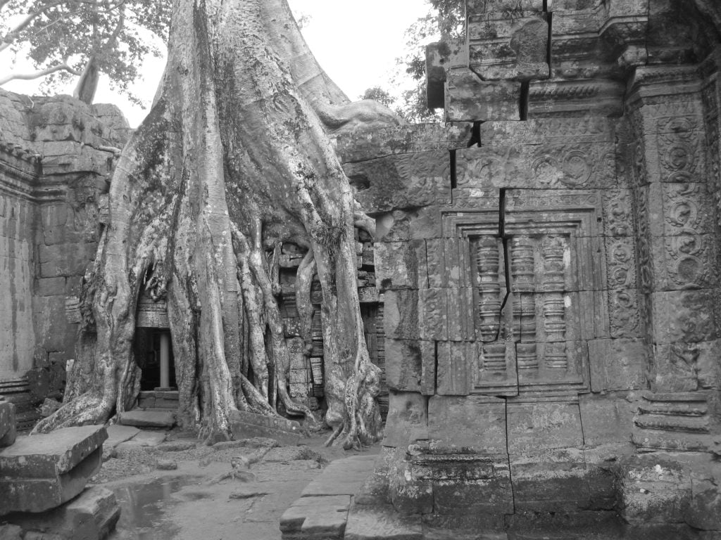 Ta Prohm, tempio nella giungla cambogiana - immagine 9