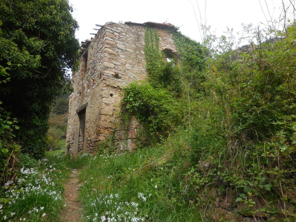 Mirteto, borgo abbandonato sui Monti Pisani - immagine 12