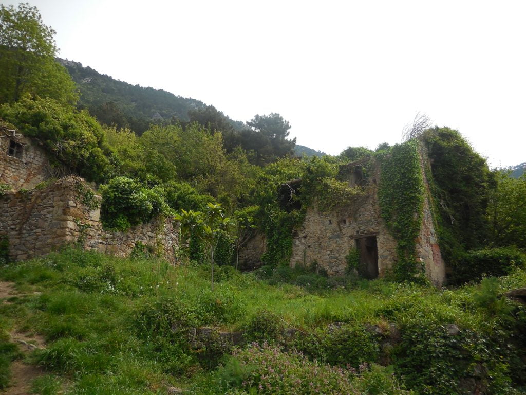 Mirteto, borgo abbandonato sui Monti Pisani - immagine 4