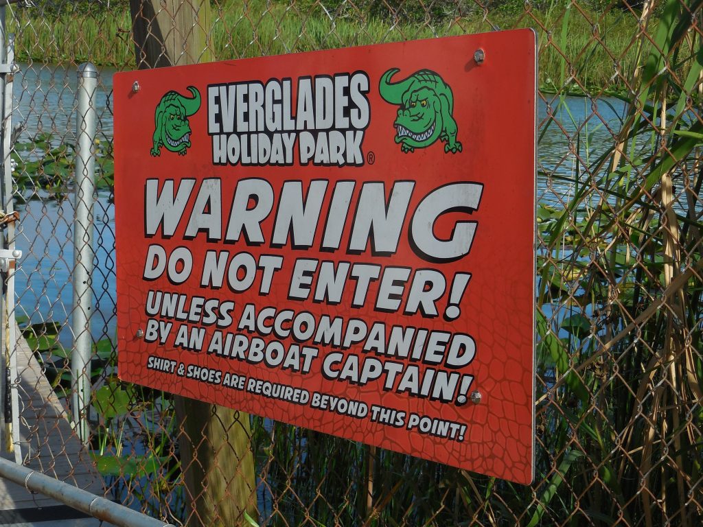 Everglades, in airboat tra le paludi della Florida - immagine 15