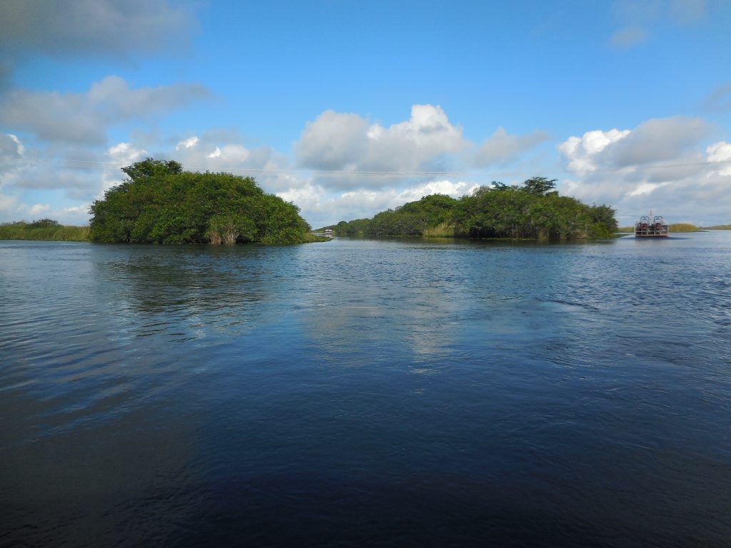 Everglades, in airboat tra le paludi della Florida - immagine 8