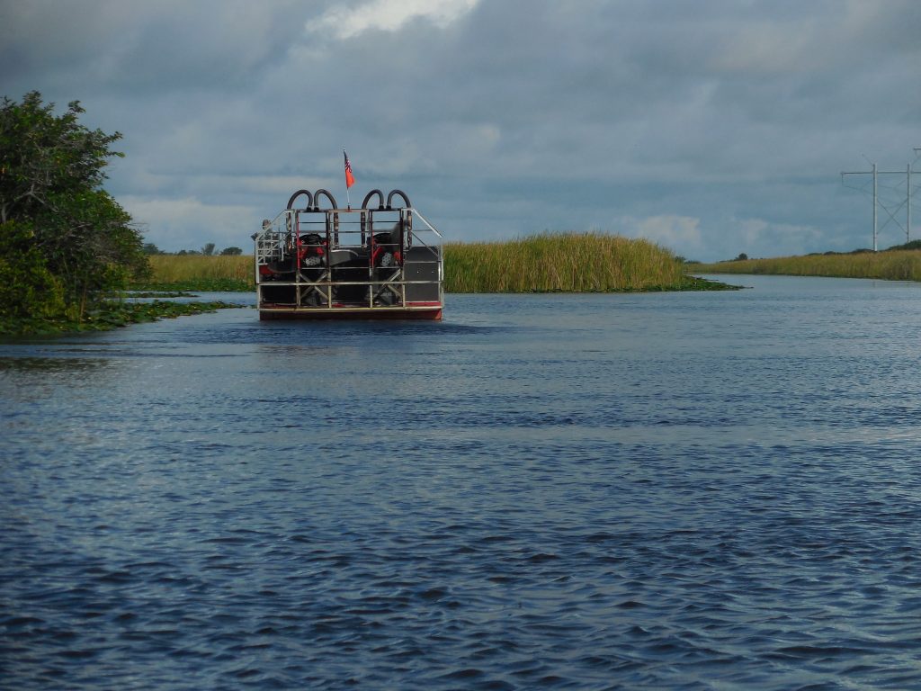 Everglades, in airboat tra le paludi della Florida - immagine 14