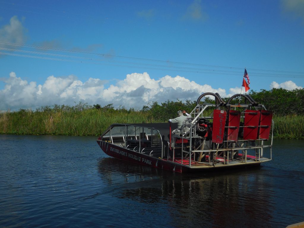 Everglades, in airboat tra le paludi della Florida - immagine 13