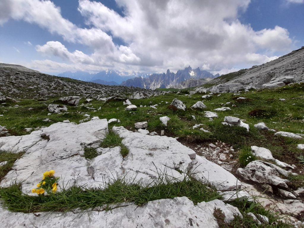 Tre Cime di Lavaredo, trekking ad anello dal Rifugio Auronzo - immagine 7