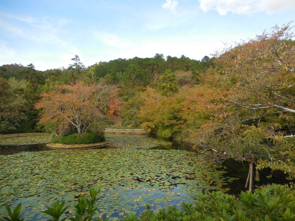 Ryōan-ji, il tempio col giardino "secco" giapponese - immagine 7