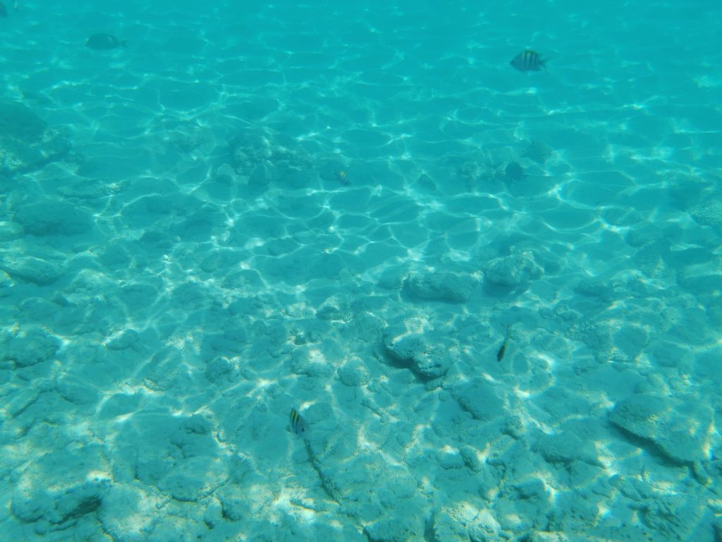 Sint Maarten: 1 giorno alle Antille tra spiagge e aerei - immagine 7