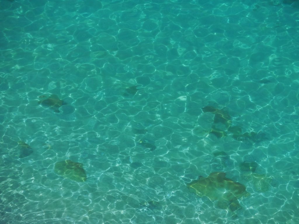 Tropea in 1 giorno, borgo tra mare e cipolle - immagine 11