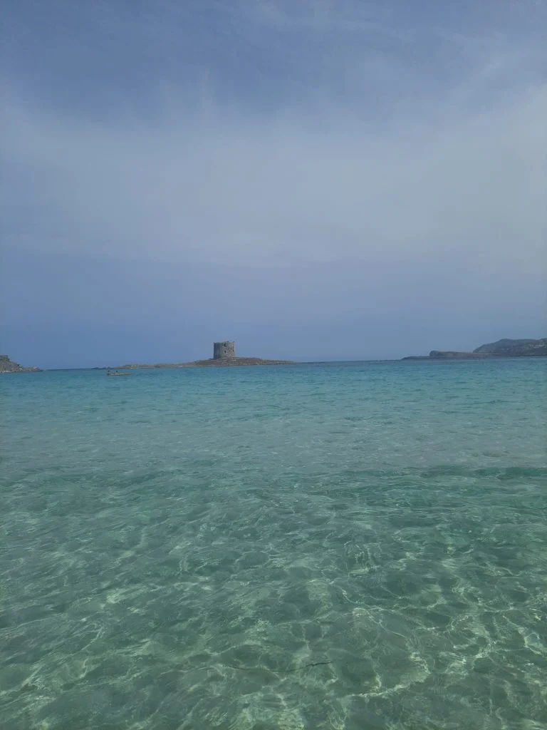 La Pelosa di Stintino, 1 giorno in spiaggia - immagine 5