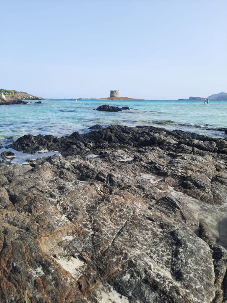 La Pelosa di Stintino, 1 giorno in spiaggia - immagine 6