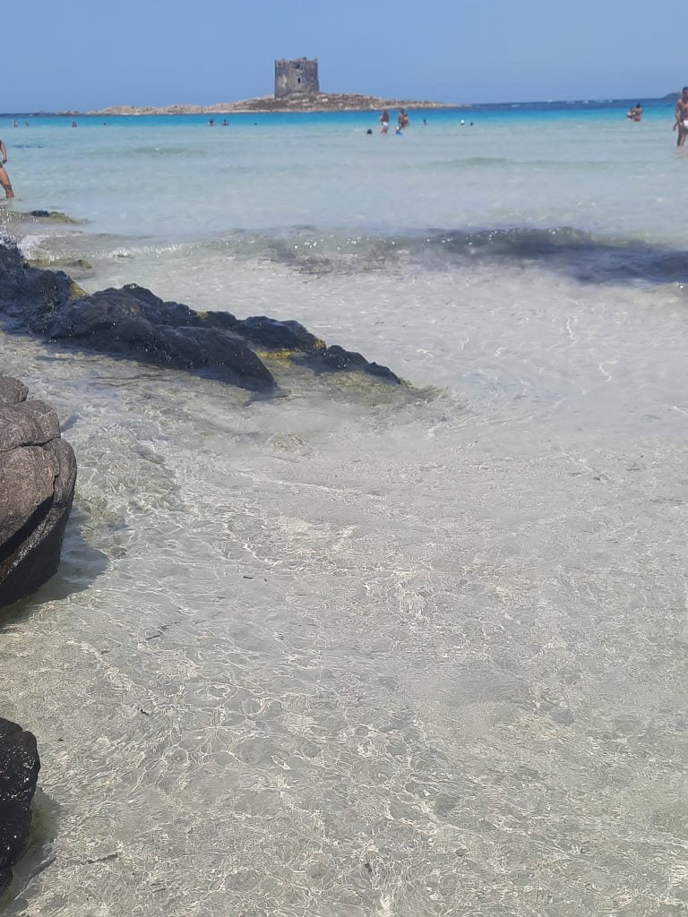 La Pelosa di Stintino, 1 giorno in spiaggia - immagine 8
