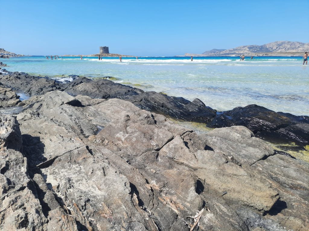 La Pelosa di Stintino, 1 giorno in spiaggia - immagine 3