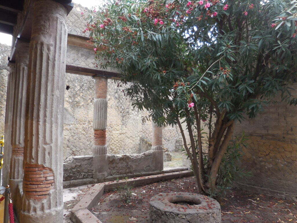 Ercolano: 1 pomeriggio agli scavi archeologici - immagine 16