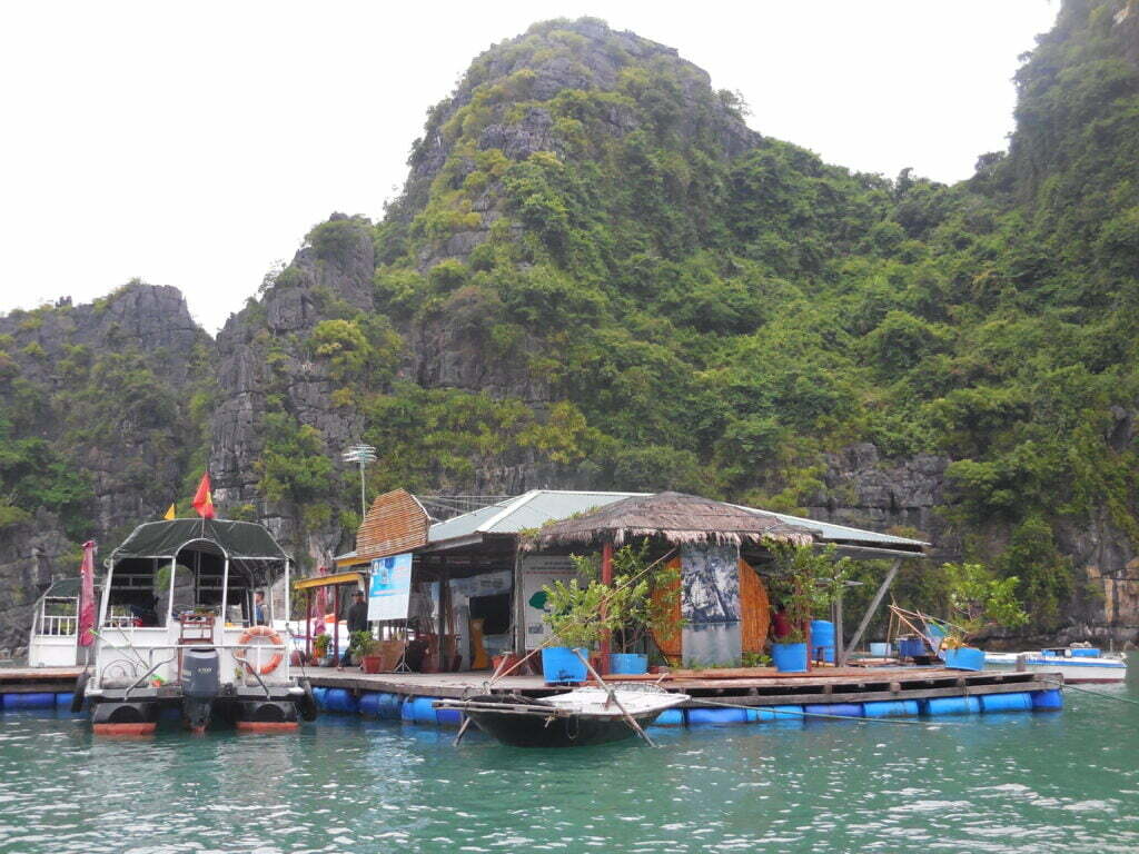 Ha Long, crociera nella baia - immagine 13