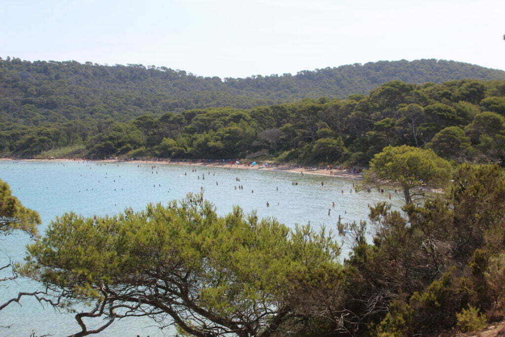 Porquerolles, in bici nel paradiso mediterraneo a largo della Provenza - immagine 10