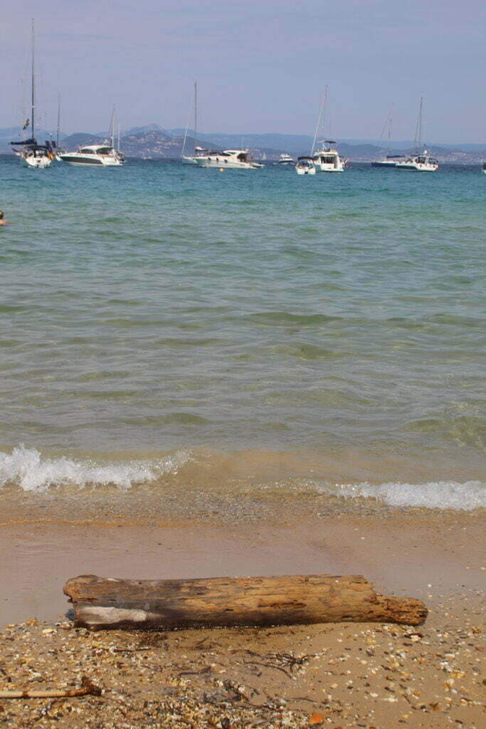 Porquerolles, in bici nel paradiso mediterraneo a largo della Provenza - immagine 3